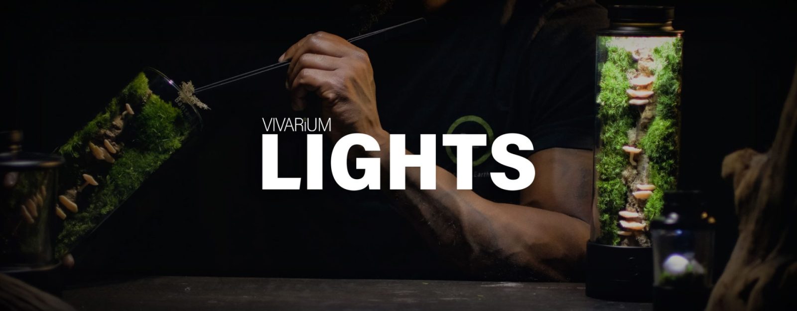 Vivarium Lighting The Most Complete Guide Bantam.Earth