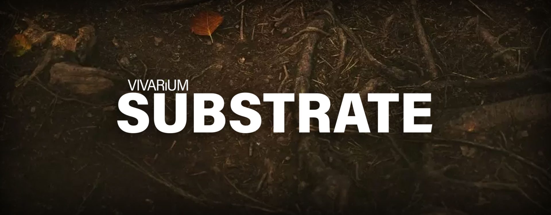 Vivarium Substrates