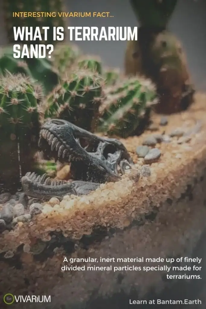 what are the best types of terrarium sand?