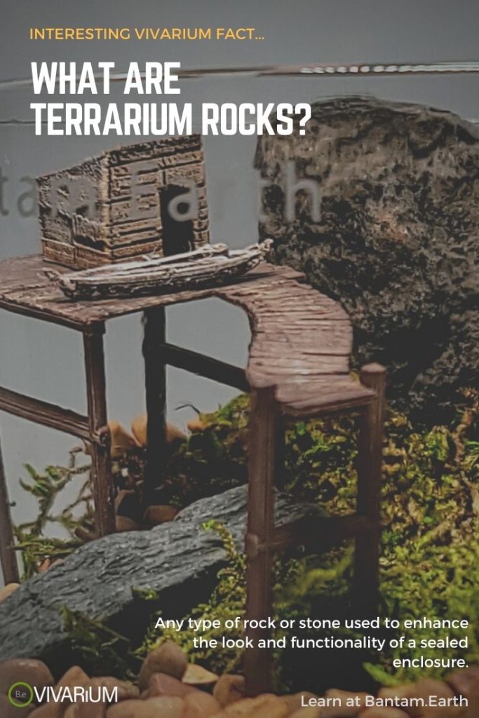 What are the best types of terrarium rocks?