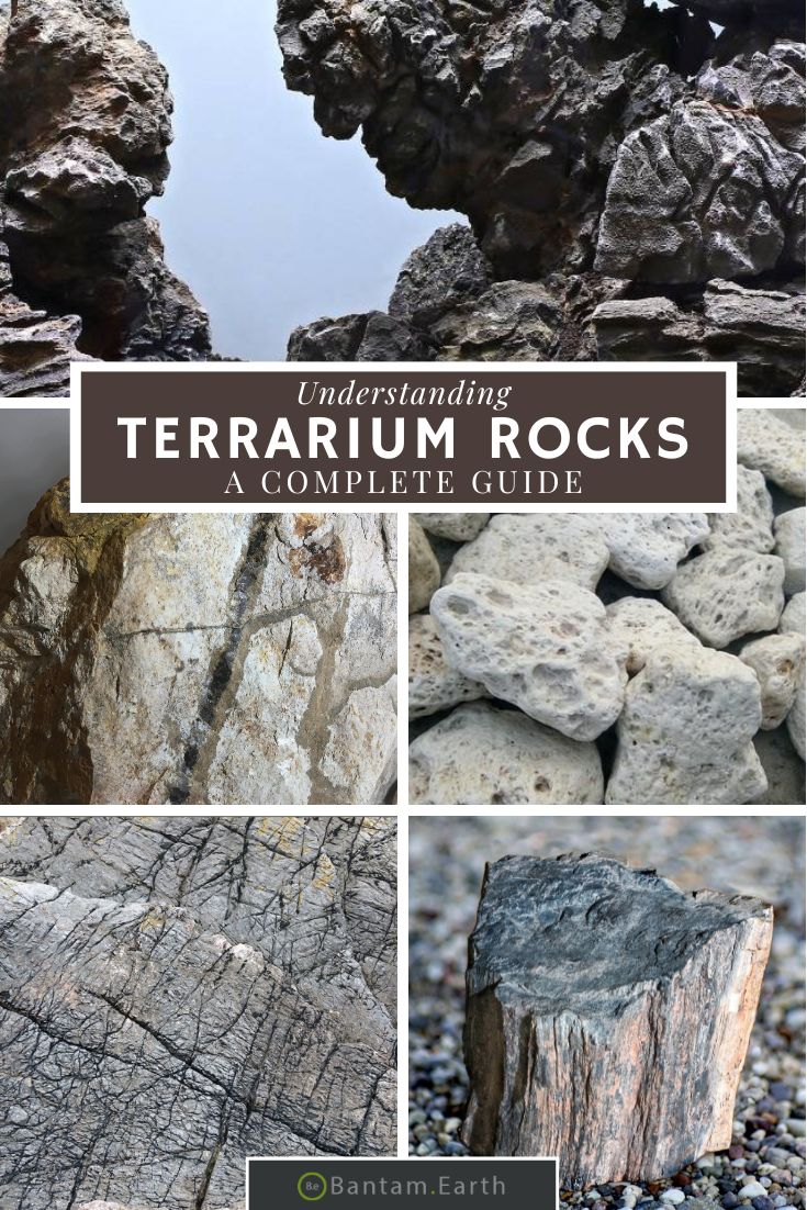 Terrane Rocks Terrarium Rocks: The Most Definitive Guide | Bantam.Earth