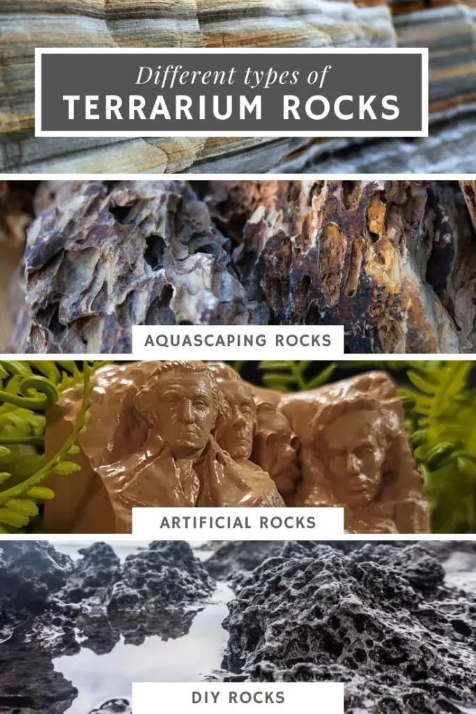 Best Types Of Rocks For A Terrarium