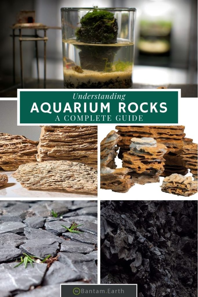 How to Prepare Rocks for an Aquarium 