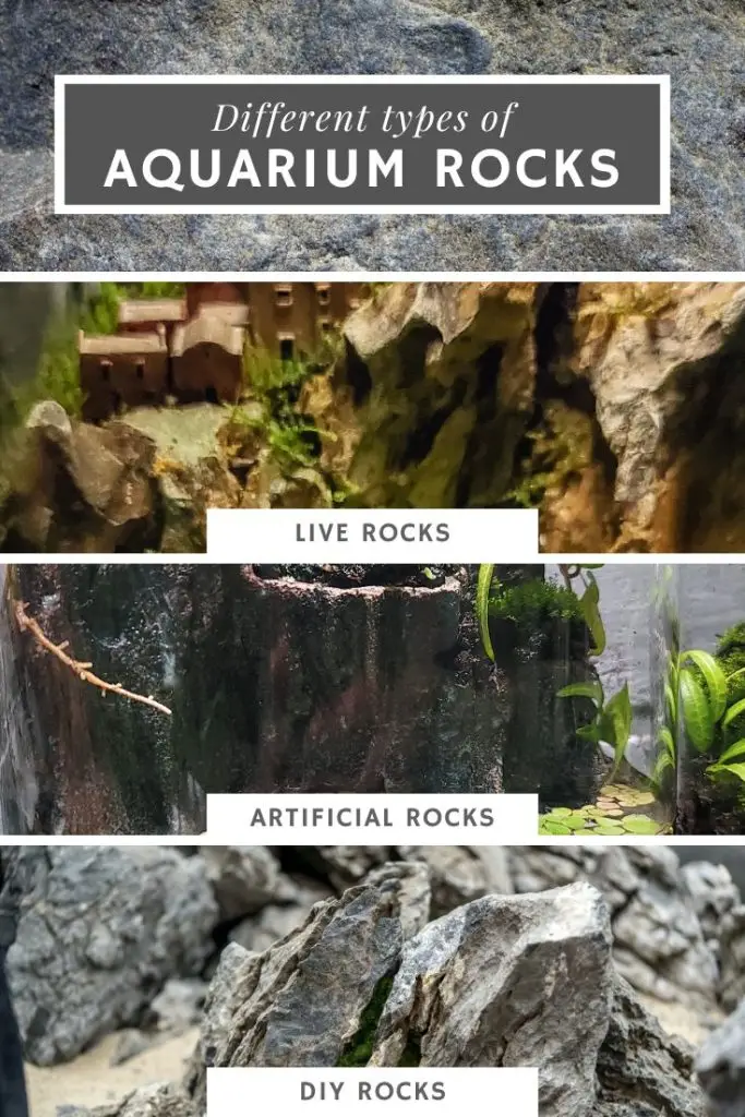 Build Aquarium Safely - What Rocks Can be Put in Aquarium