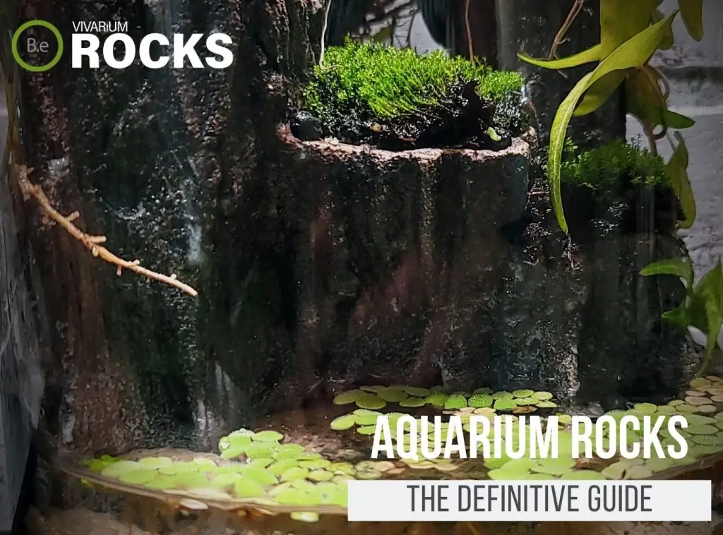 Aquarium Rocks: The Most Definitive Guide | Bantam.Earth