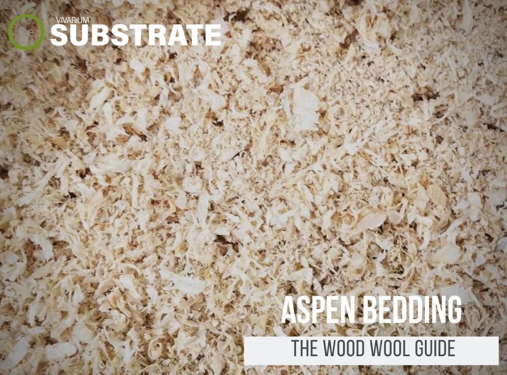 Bantam.Earth Reimaging Home Decor With Nature...