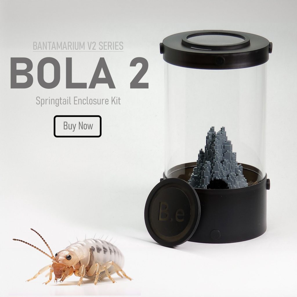 Customizable Springtail Enclosure Kit | Bantam-V2 Bola 2