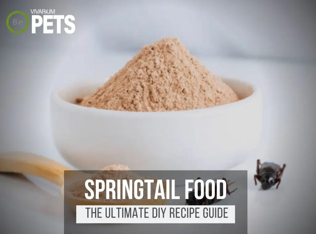 The Ultimate DIY Springtail Food Guide | Best Food + Recipes