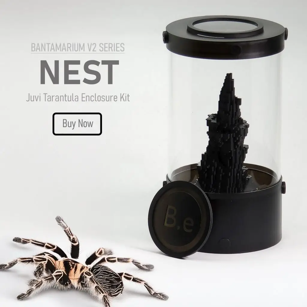 Customizable Tarantula Enclosure Kit | Bantam-V2 Nest