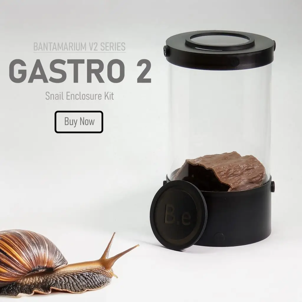 Customizable Land Snail Enclosure Kit | Bantam-V2 Gastro 2