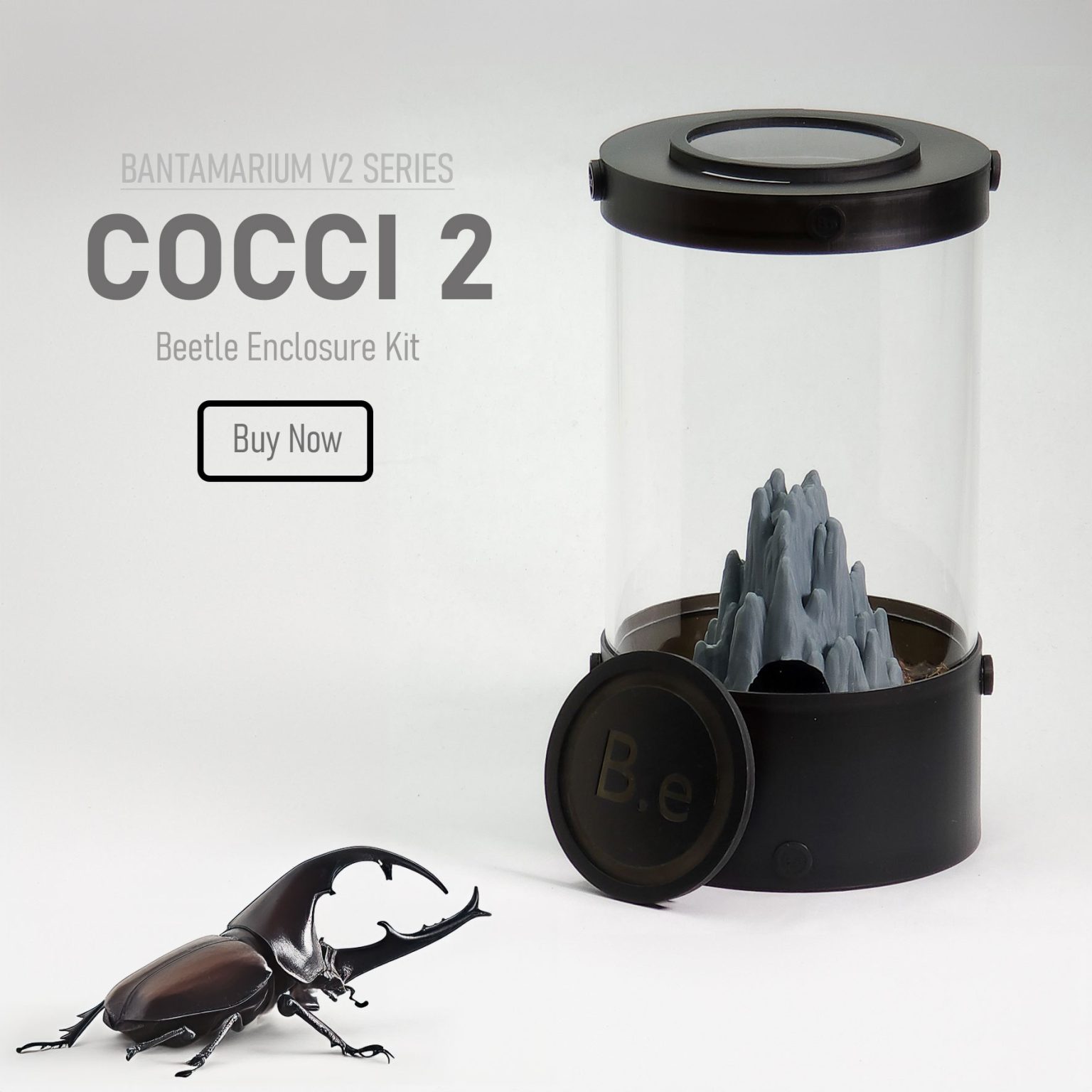 Coccinella Novemnotata: A Nine-spotted Ladybug Guide!