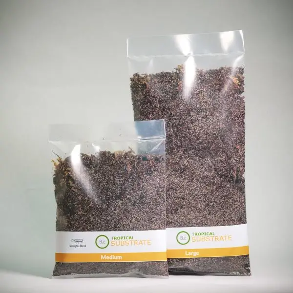 Premium Springtail Substrate Blend For Terrariums | Bantam.Earth