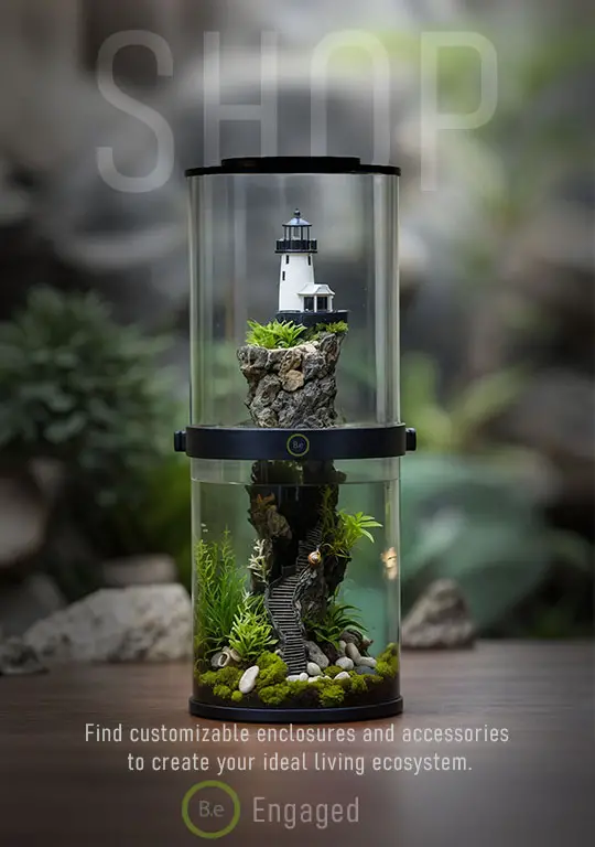 Shop vivarium enclosures and accessories