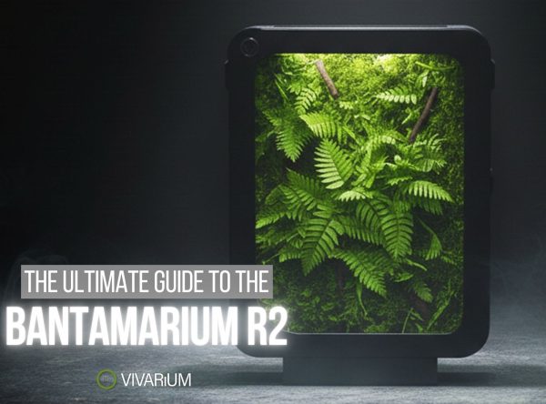 Bantamarium R2: Ultimate Guide to Customizable Ecosystems